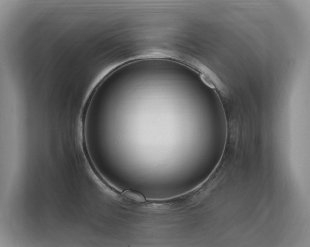 X0000112951476200908241333