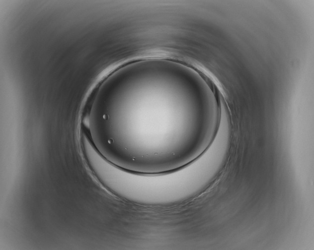 X0000112951477200908241333