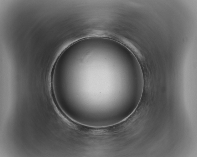 X0000112951479200908241333