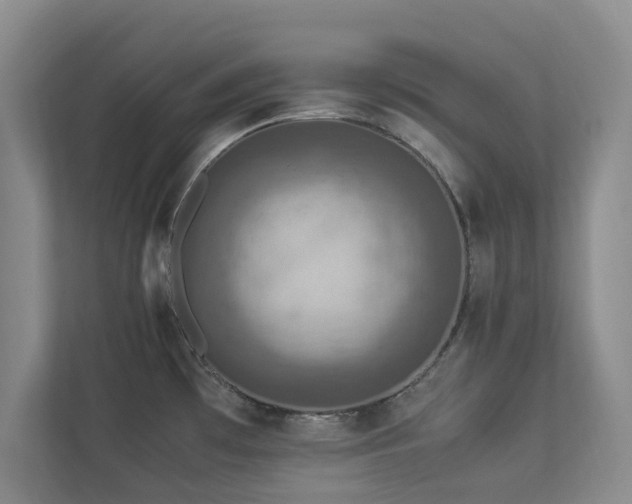 X0000112951481200908241333