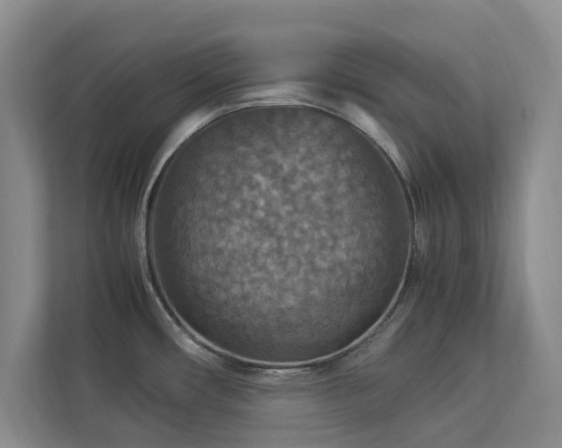 X0000112951482200908241333
