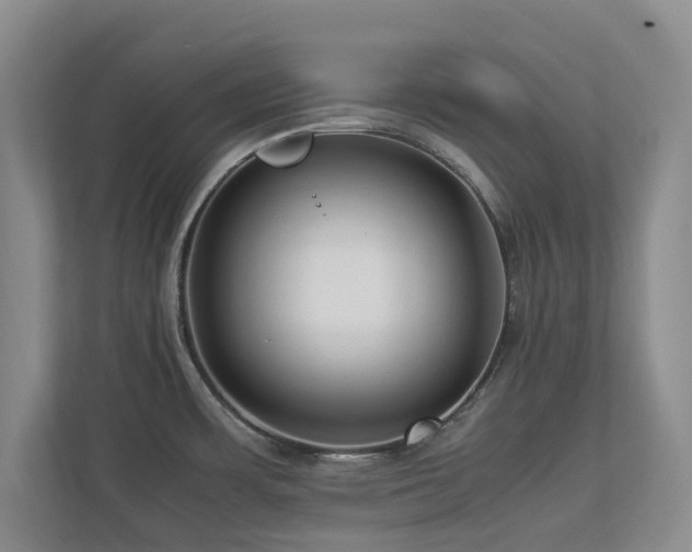 X0000112951483200908241333