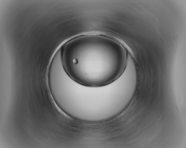 X0000112951484200908241333