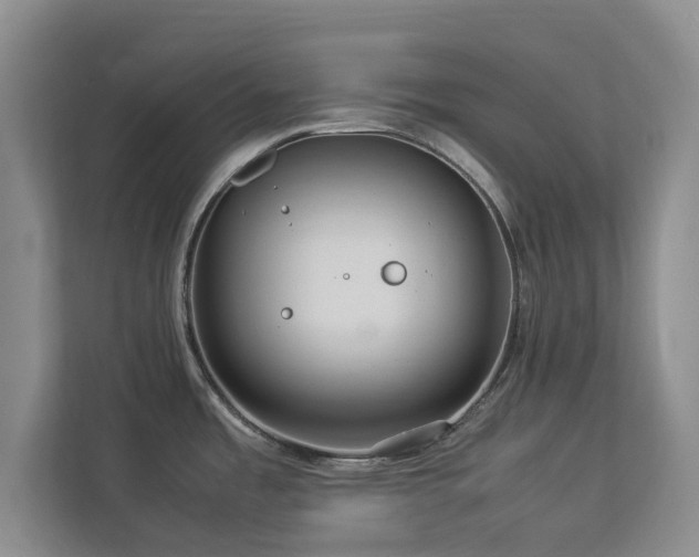 X0000112951485200908241333