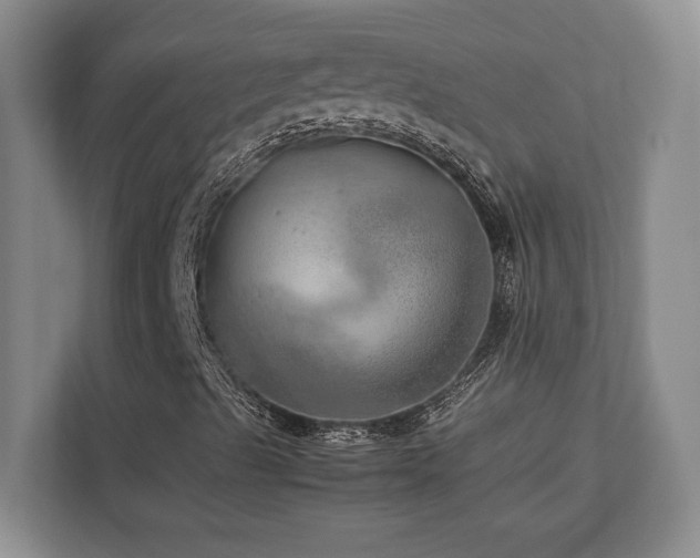 X0000112951489200908241332