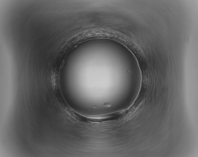 X0000112951490200908241332