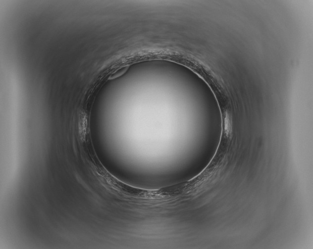 X0000112951492200908241332