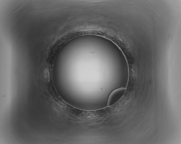 X0000112951493200908241332