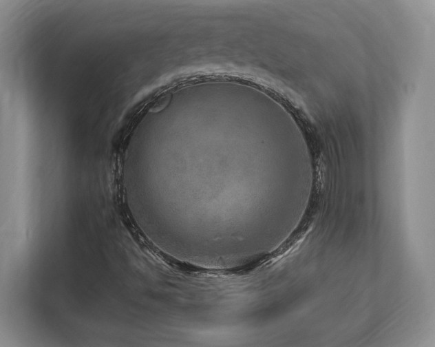 X0000112951494200908241332