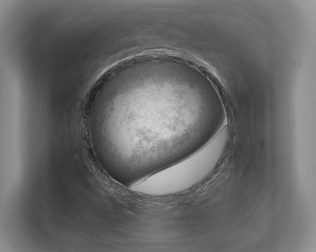 X0000112951496200908241332