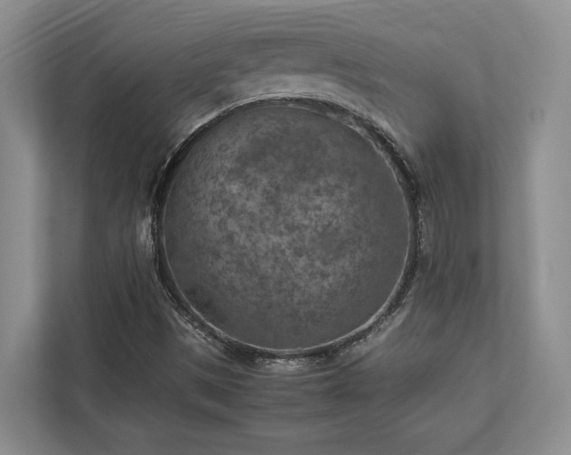 X0000112951497200908241332