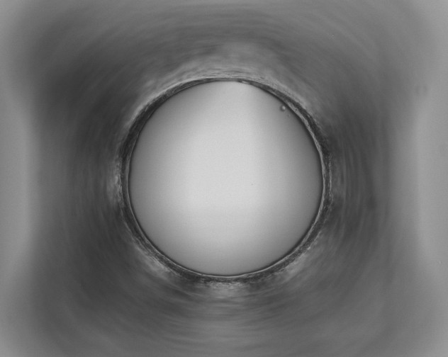 X0000112951498200908241332