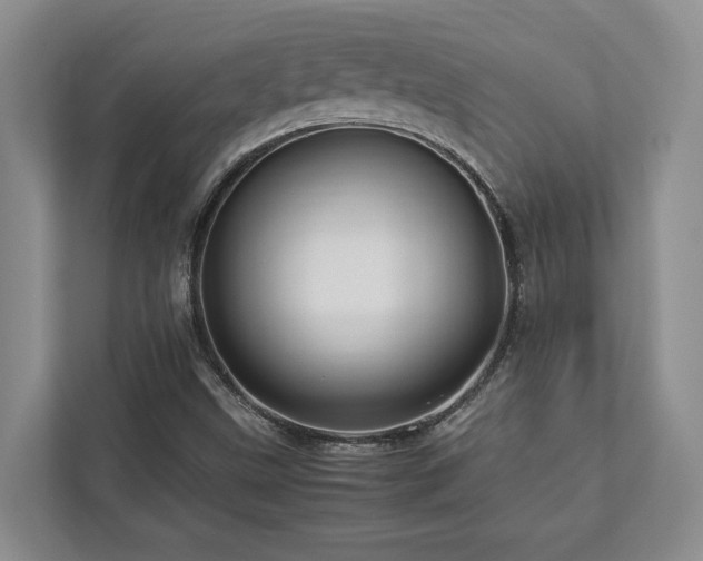 X0000112951499200908241332