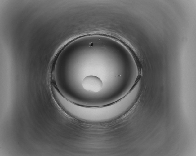 X0000112951500200908241332