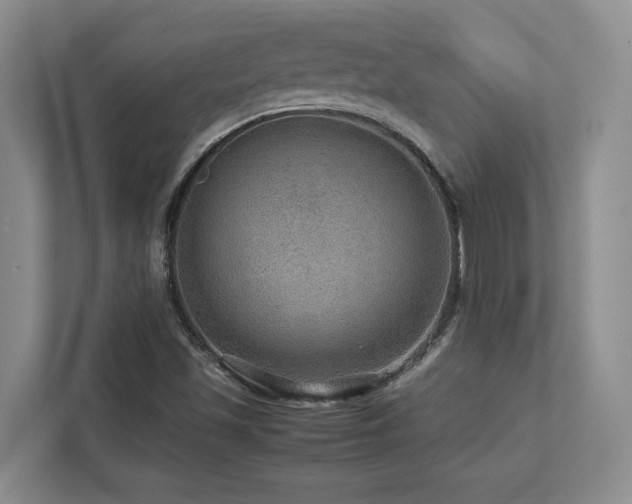 X0000112951501200908241332