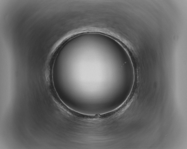 X0000112951502200908241332