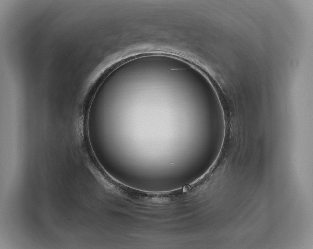 X0000112951503200908241332