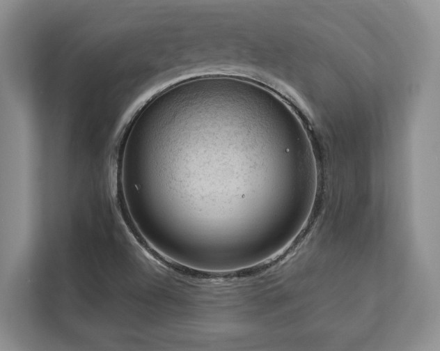 X0000112951504200908241332