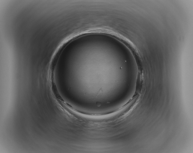 X0000112951506200908241332