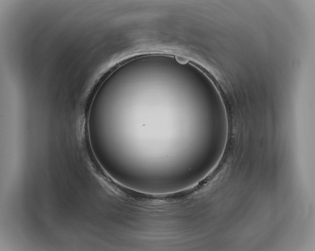 X0000112951507200908241332