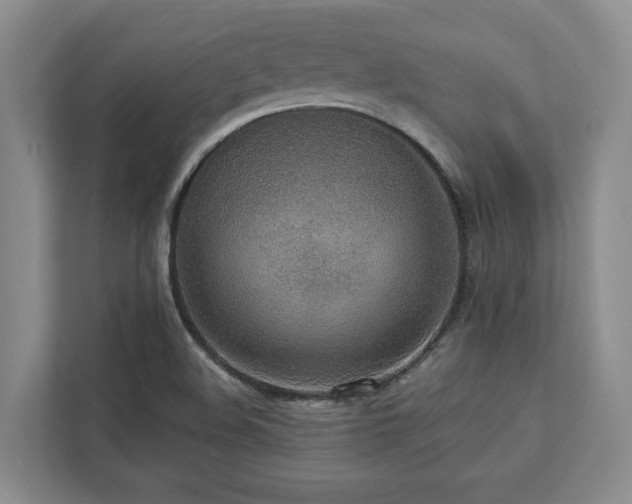 X0000112951508200908241332