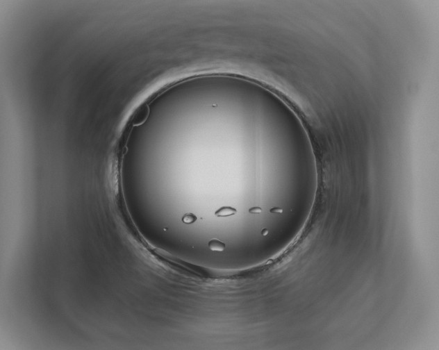 X0000112951510200908241332