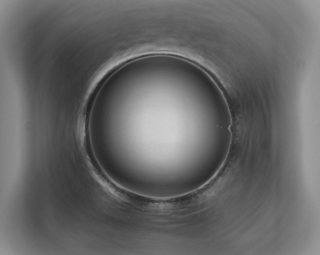 X0000112951511200908241332