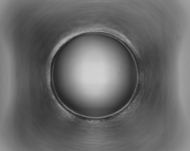 X0000112951512200908241332