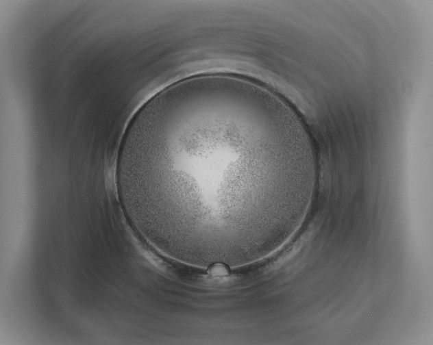 X0000112951513200908241332