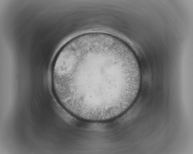 X0000112951514200908241332