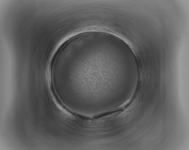 X0000112951515200908241332