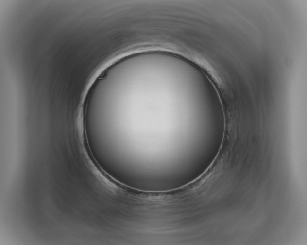 X0000112951516200908241332