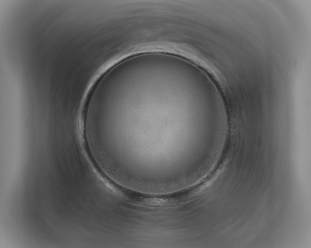 X0000112951517200908241332