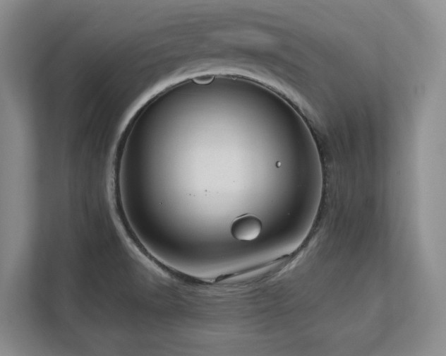 X0000112951518200908241332