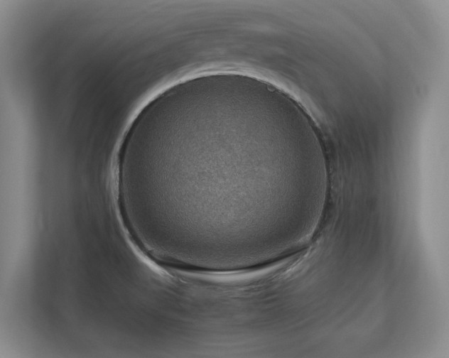 X0000112951519200908241332