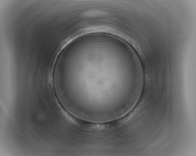 X0000112951521200908241332