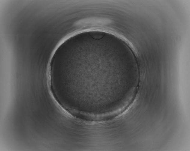X0000112951522200908241332