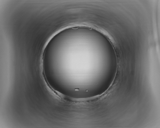 X0000112951524200908241332