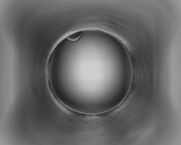 X0000112951526200908241332