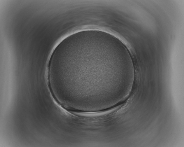 X0000112951527200908241332