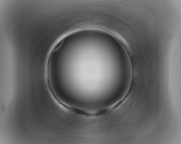 X0000112951528200908241332