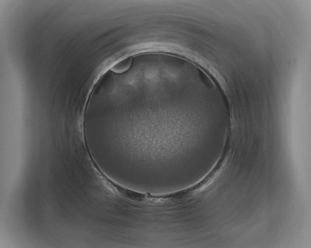 X0000112951529200908241332
