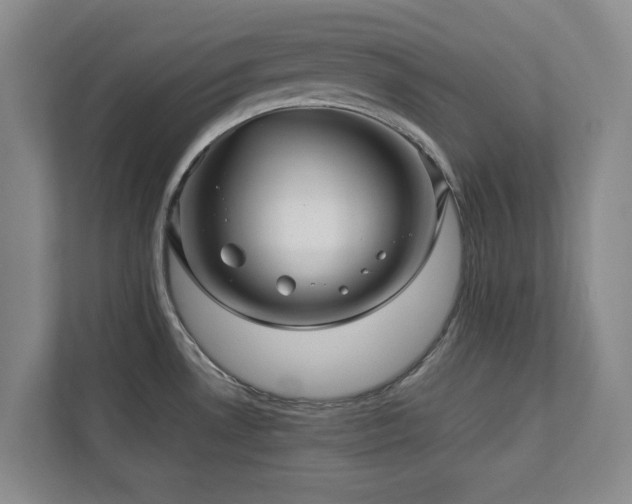 X0000112951530200908241332