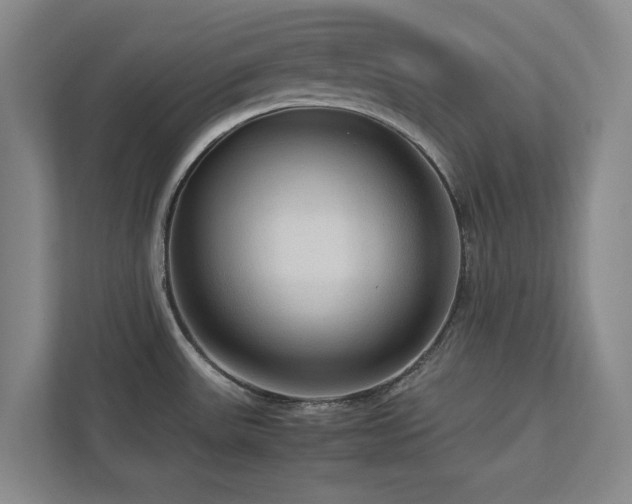 X0000112951531200908241332