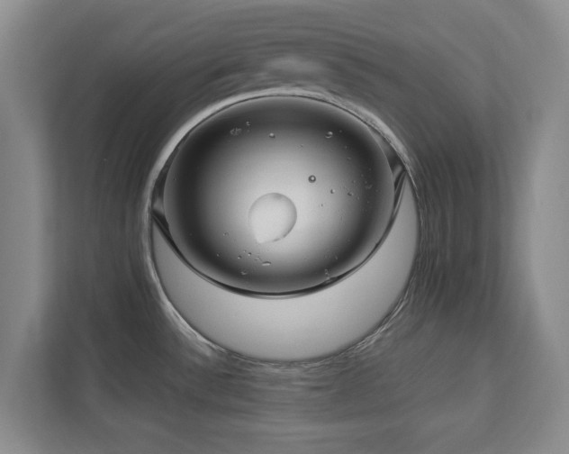 X0000112951532200908241332