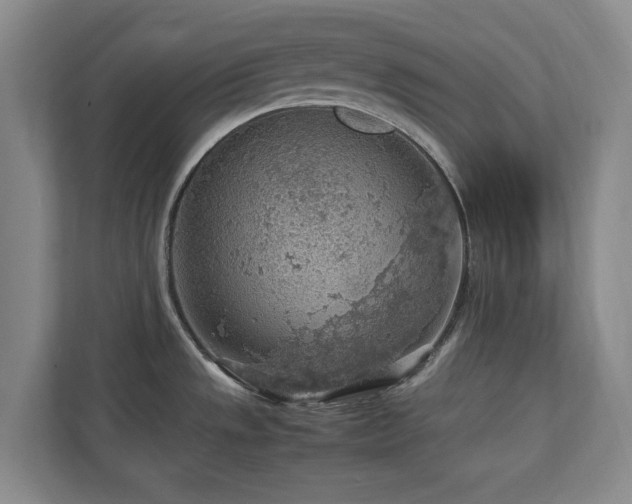 X0000112951533200908241332