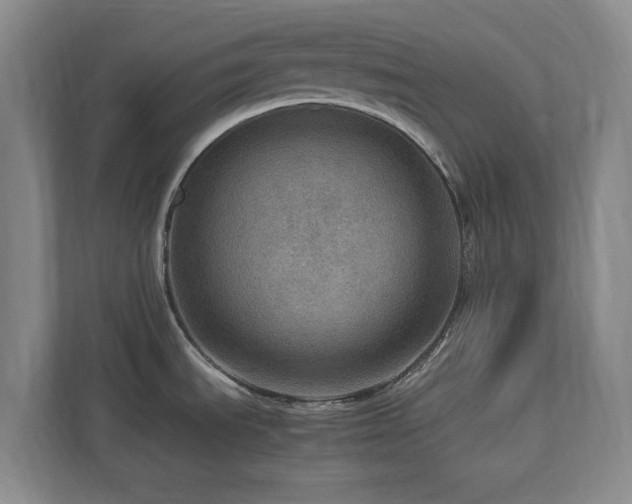 X0000112951535200908241332