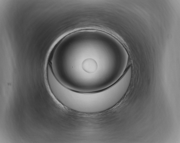 X0000112951536200908241332
