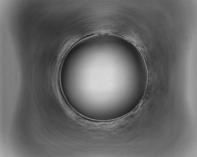 X0000112950001200908311519