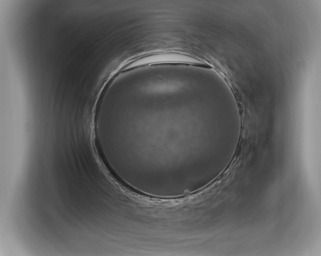 X0000112950002200908311519